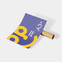 Print A3+